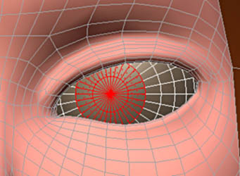 Жанна Д'арк. Моделирование глаза.